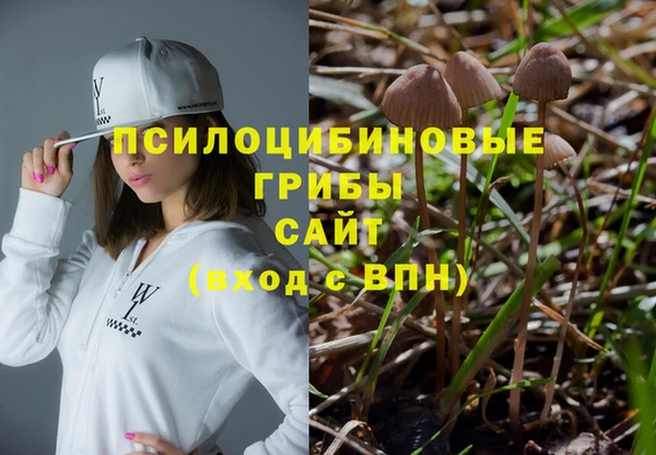 бошки Балахна
