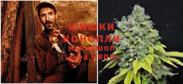 бошки Балахна