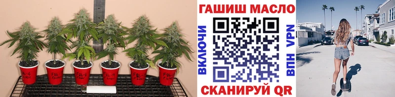 mega ONION  Гаврилов-Ям  Дистиллят ТГК Wax  купить закладку 