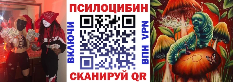 где купить наркоту  Гаврилов-Ям  Галлюциногенные грибы Psilocybe 